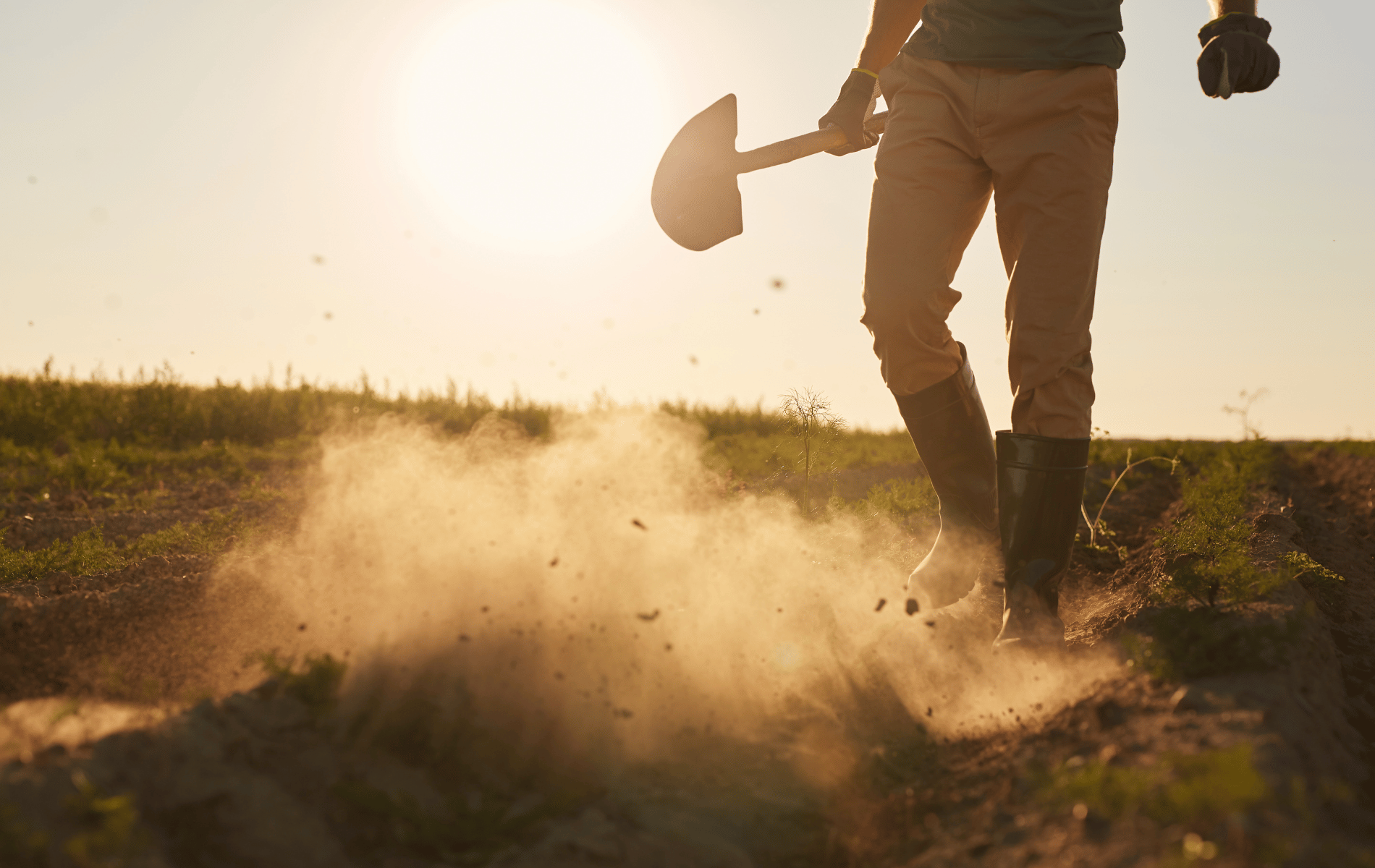 Farmer Working With Shovel